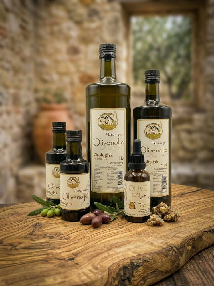 Wholesale Olive Oil