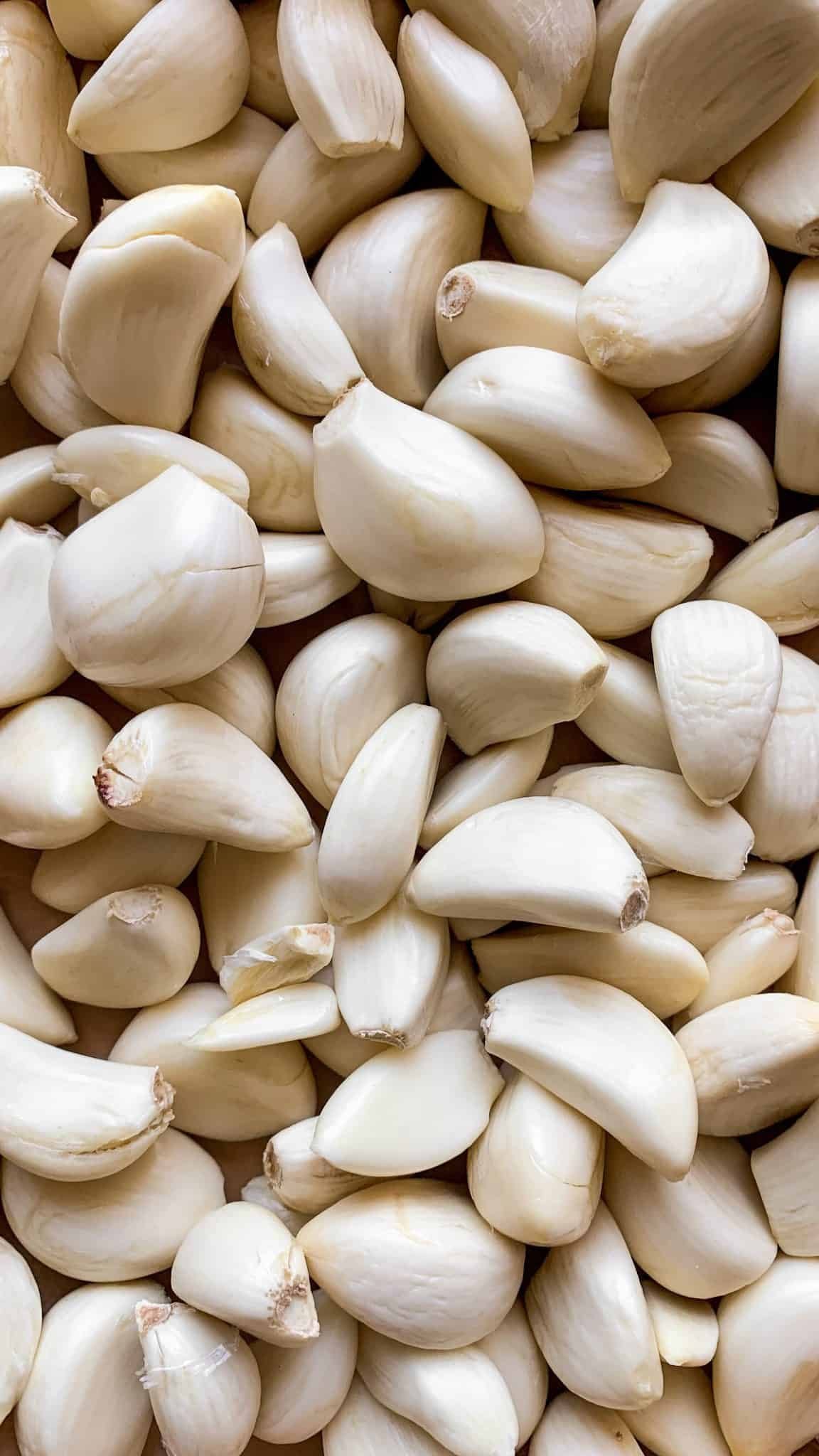 GARLIC