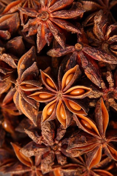 Anise